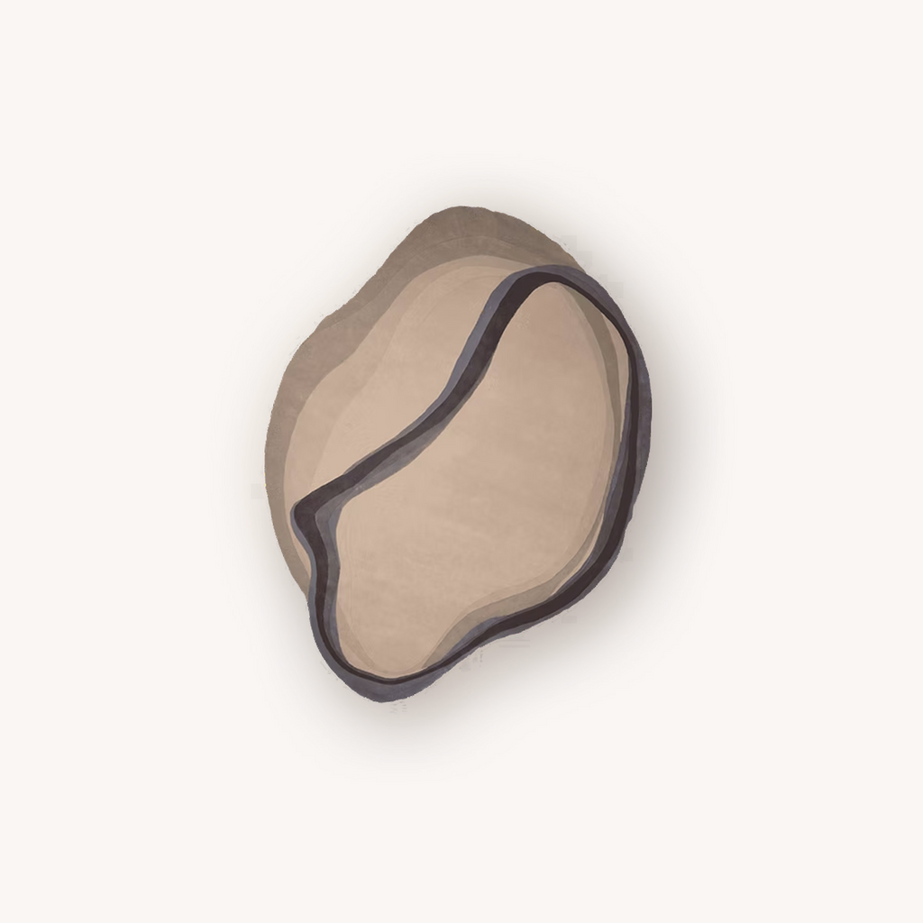 Swiss Coffee handmade neutral wool rug with organic curved design