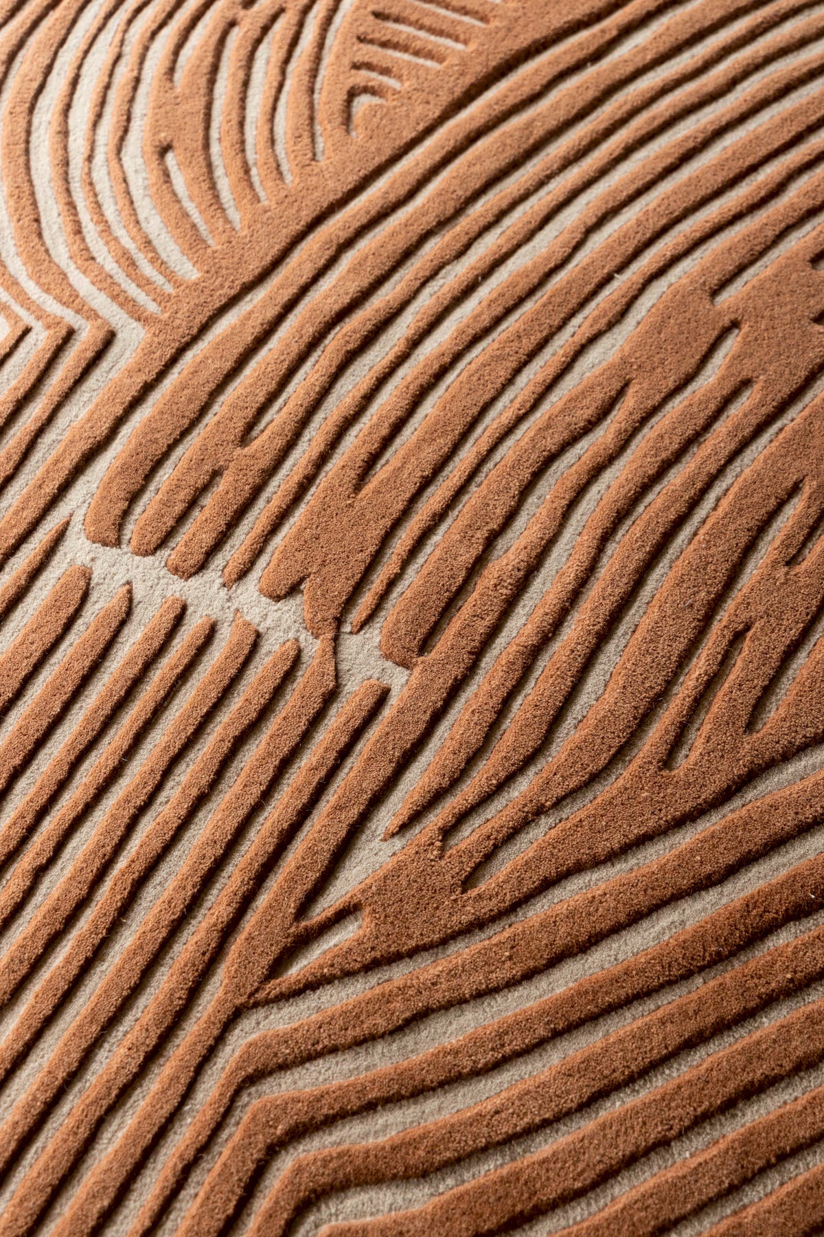 Warp Rug